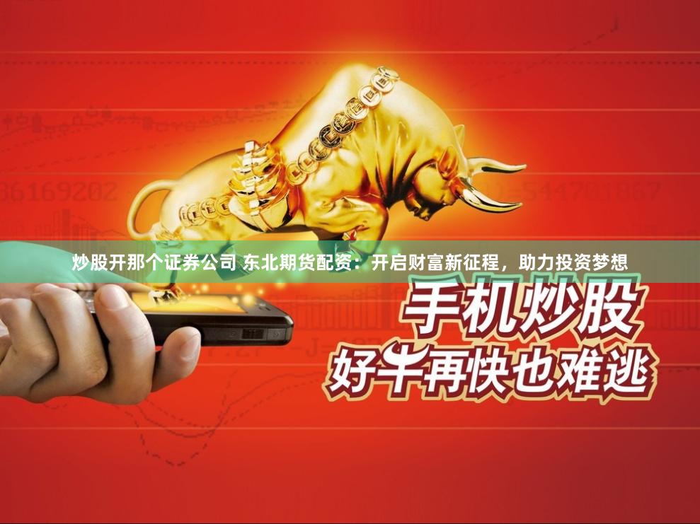 炒股开那个证券公司 东北期货配资：开启财富新征程，助力投资梦想